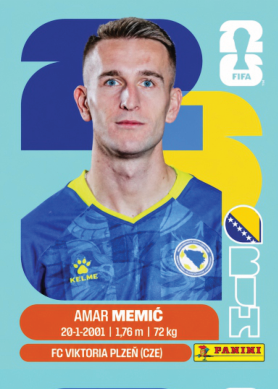 AMAR MEMIC