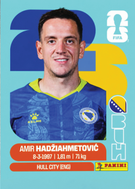 AMIR HADZIAHMETOVIC