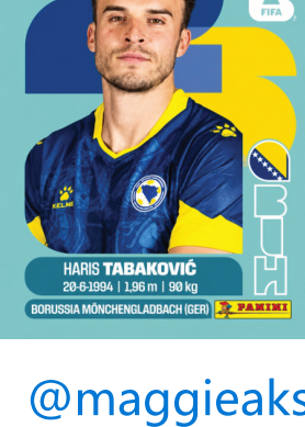 HARIS TABAKOVIC